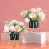 Blooms Decor blooms-decor-plante-en-pot-et-cage-or-100x100 Plante WARDA  