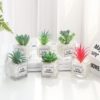 Blooms Decor blooms-decor-plante-en-pot-verre-100x100 Vase KORA  