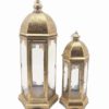 Blooms Decor lanterne-marocaine-blooms-decor-100x100 Plante LYNA  